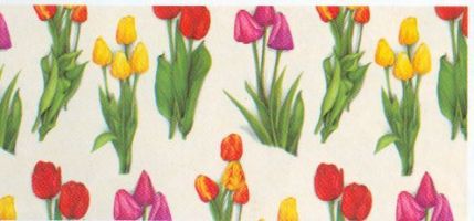 tulipani