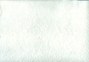 carta gelso toni bianchi