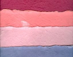 carta gelso toni rosa