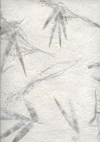 carta riso