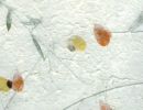 carta riso