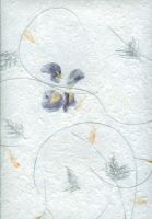 carta riso