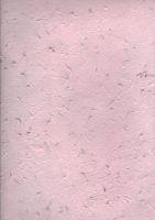 carta riso