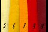 Album feltro 14 colori 